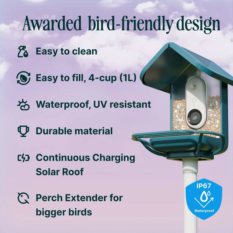 Bird Buddy Smart Solar Bird Feeder with Camera and Perch Extender – Blue, photo 7 of 7