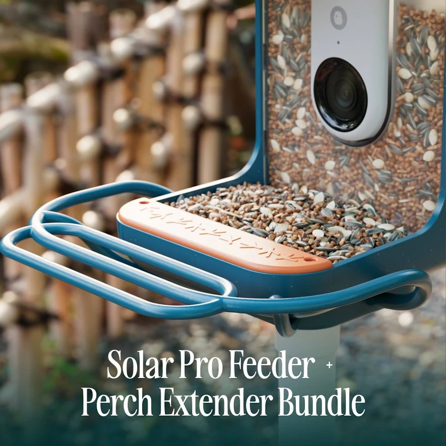 Bird Buddy Smart Solar Bird Feeder with Camera and Perch Extender – Blue, photo 3 of 7
